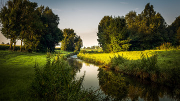 Картинка природа реки озера река деревья