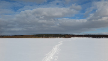 Картинка природа зима снег