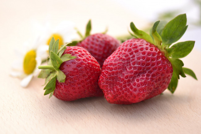 Обои картинки фото еда, клубника,  земляника, ягоды