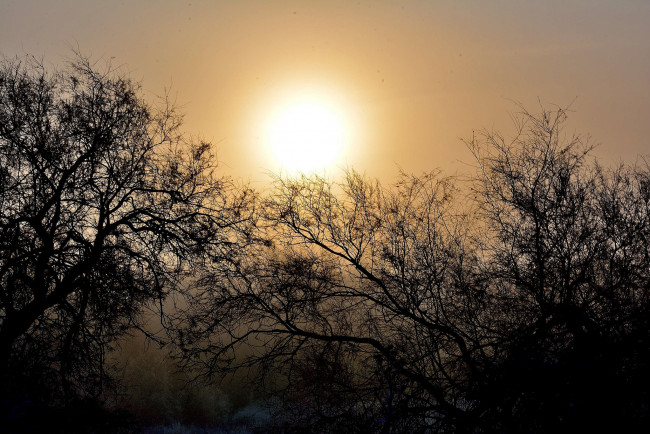 Обои картинки фото природа, восходы, закаты, рассвет