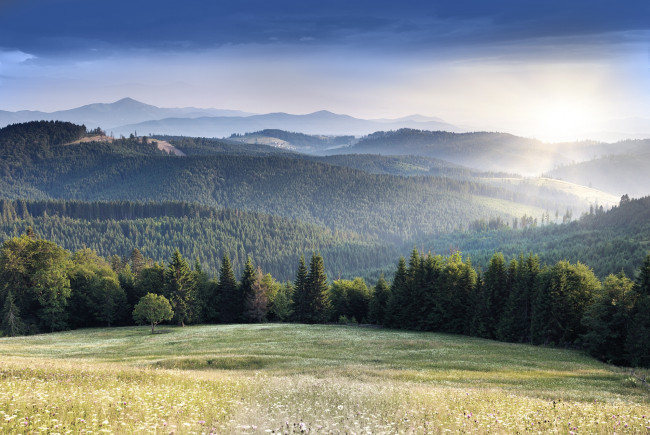 Обои картинки фото природа, пейзажи, горы, деревья, цветы, поле, лес, долина, пейзаж, небо