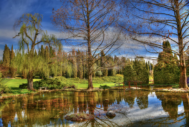 Обои картинки фото природа, реки, озера, лес, река