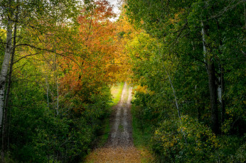 Картинка природа дороги простор