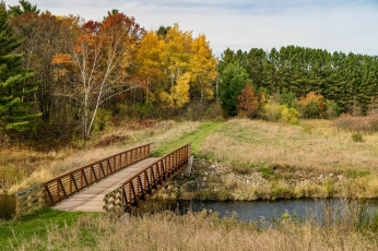 Картинка природа дороги простор