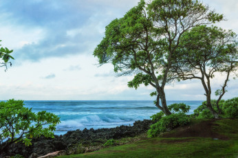 Картинка природа побережье простор