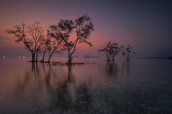 Картинка природа реки озера простор