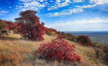 Картинка природа пейзажи простор