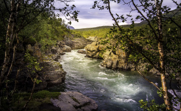 Картинка природа реки озера простор