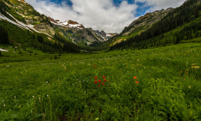 Обои картинки фото природа, луга, простор