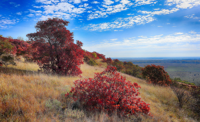 Обои картинки фото природа, пейзажи, простор