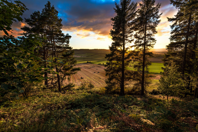 Обои картинки фото природа, пейзажи, простор