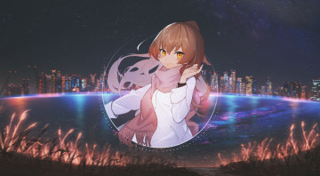 Картинка аниме toradora торадора