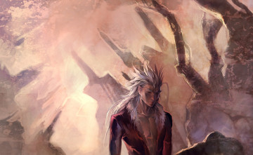 Картинка аниме noblesse дворянство