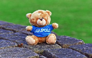 Картинка разное игрушки плюшевый медведь