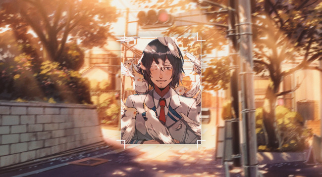 Обои картинки фото аниме, boku no hero academia, моя, геройская, академия