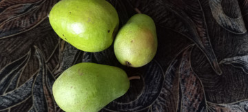 обоя еда, груши, зеленые, трио