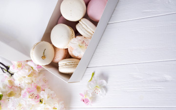 Картинка еда макаруны лакомство ассорти