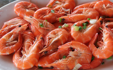 обоя еда, рыбные блюда,  с морепродуктами, креветки, макро