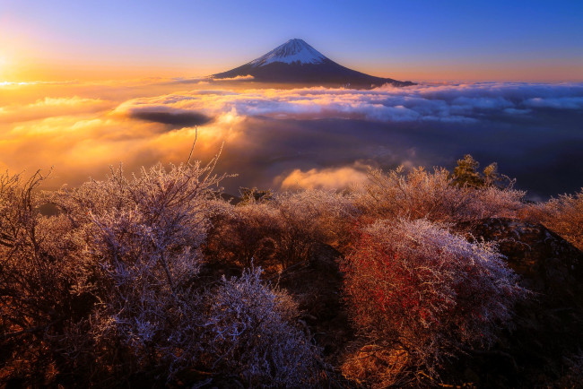 Обои картинки фото природа, горы, гора, облака, кусты