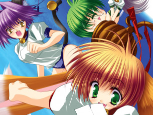 Картинка аниме *unknown другое