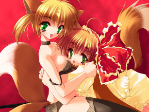 Картинка аниме *unknown другое