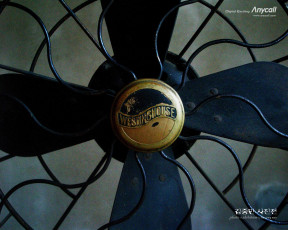 обоя бренды, anycall