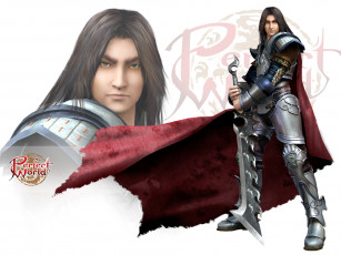 Картинка видео игры perfect world