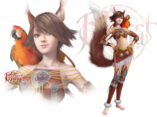 Картинка видео игры perfect world