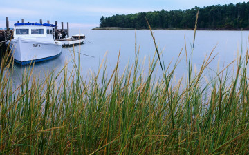 обоя корабли, разные, вместе