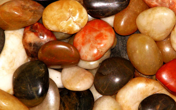 Картинка разное ракушки кораллы декоративные spa камни