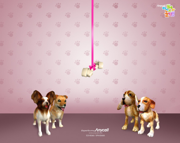 Обои картинки фото бренды, anycall