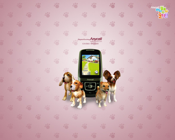 Обои картинки фото бренды, anycall