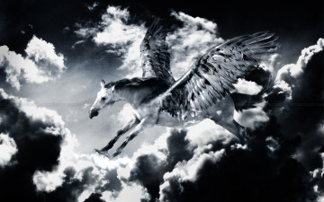 Картинка фэнтези пегасы