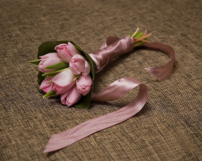 Картинка цветы тюльпаны