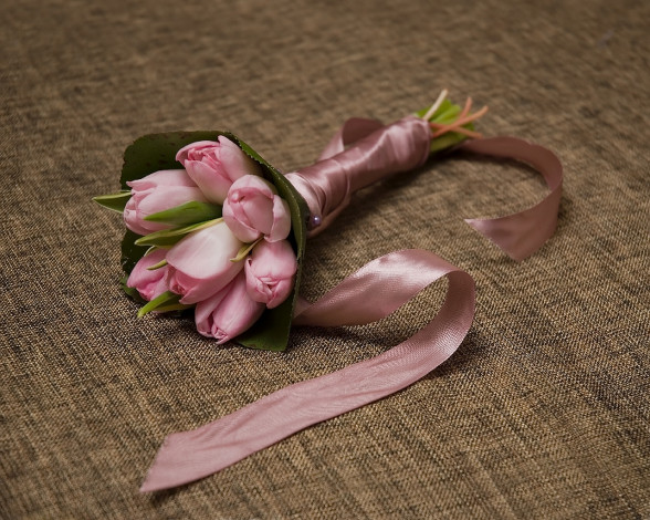 Обои картинки фото цветы, тюльпаны