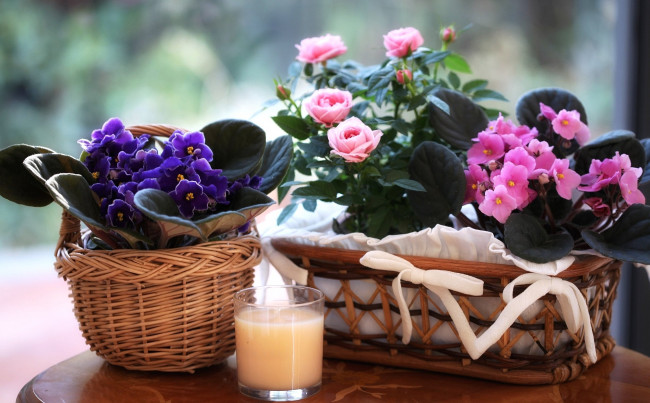 Обои картинки фото цветы, разные, вместе, розы, фиалки, свеча, корзинки