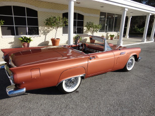 Картинка автомобили ford