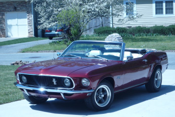 Картинка автомобили mustang