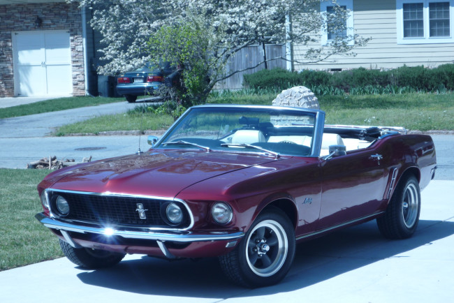 Обои картинки фото автомобили, mustang