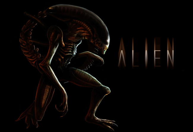 Обои картинки фото фэнтези, существа, alien, чужой