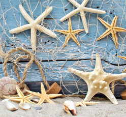 обоя разное, ракушки,  кораллы,  декоративные и spa-камни, морские, звезды, песок
