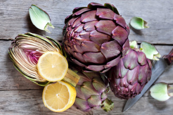 Картинка еда фрукты+и+овощи+вместе лимон артишок