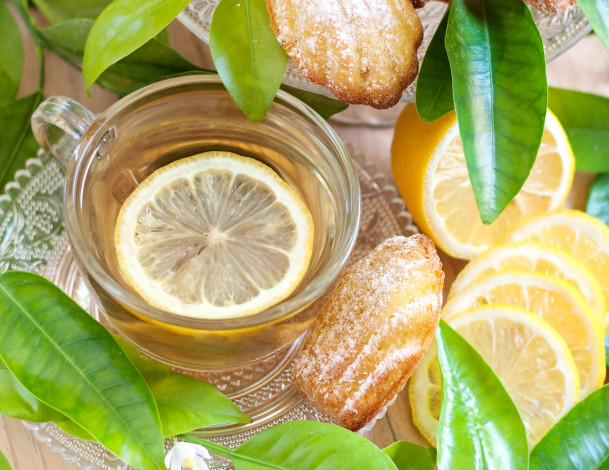 Обои картинки фото еда, напитки,  Чай, лимон, мадлен