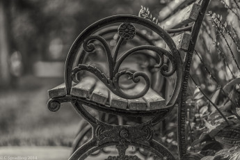 Картинка разное -+другое лавочка круг растение цветы железо сепия