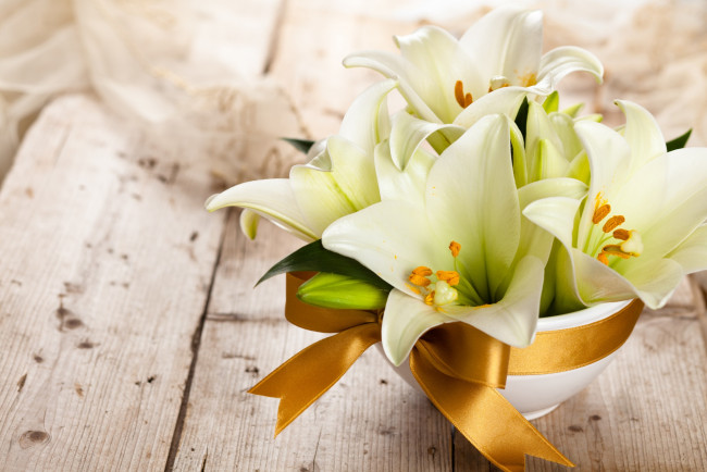 Обои картинки фото цветы, лилии,  лилейники, букет, белые