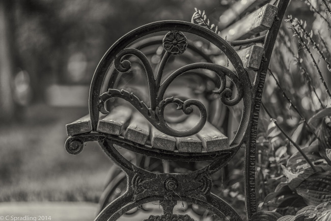 Обои картинки фото разное, - другое, лавочка, круг, растение, цветы, железо, сепия