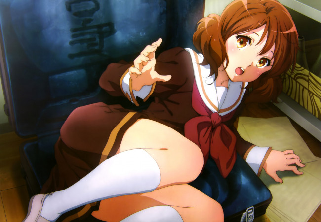 Обои картинки фото hibike,  euphonium, аниме, unknown,  другое, euphonium, девушка, oumae, kumiko