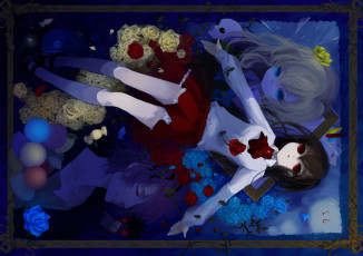 Картинка аниме ib иб