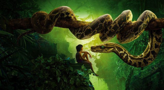 Обои картинки фото кино фильмы, the jungle book, приключения, книга, джунглей, the, jungle, book