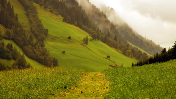 Картинка природа луга горы луг туман